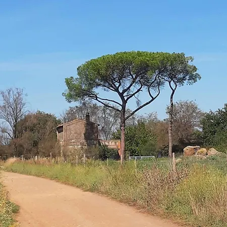 Pensjonat Vacanze Romane