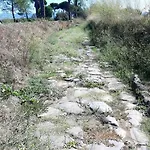 Vacanze Romane Πανσιόν