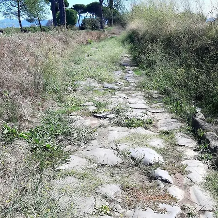 Vacanze Romane Pensión