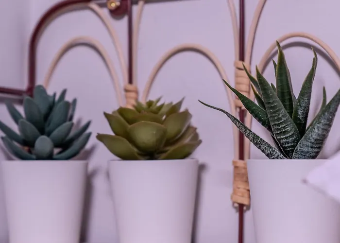 Guest house Vacanze Romane Rome