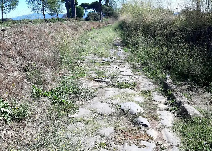 Vacanze Romane Guest house